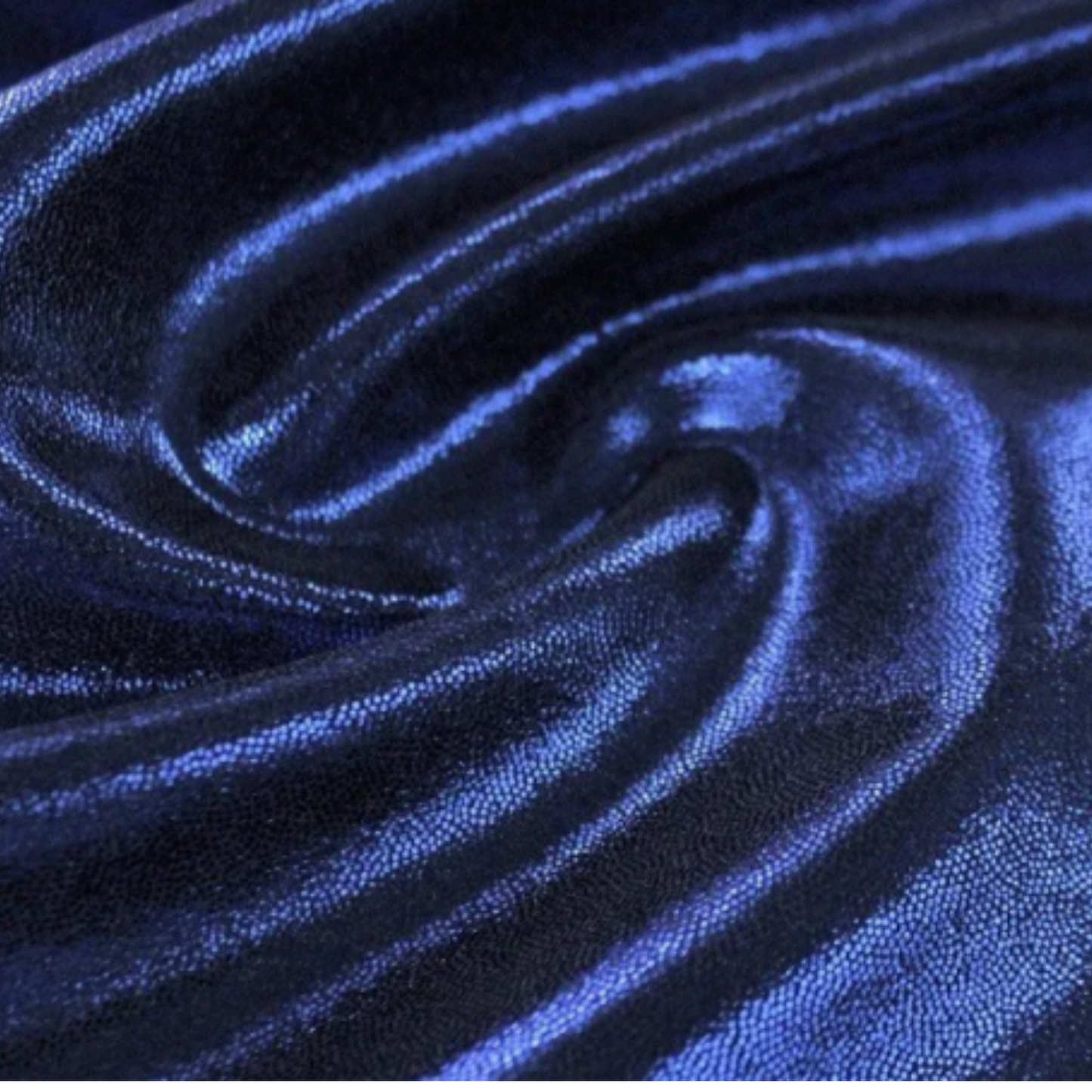Shimmer Marine