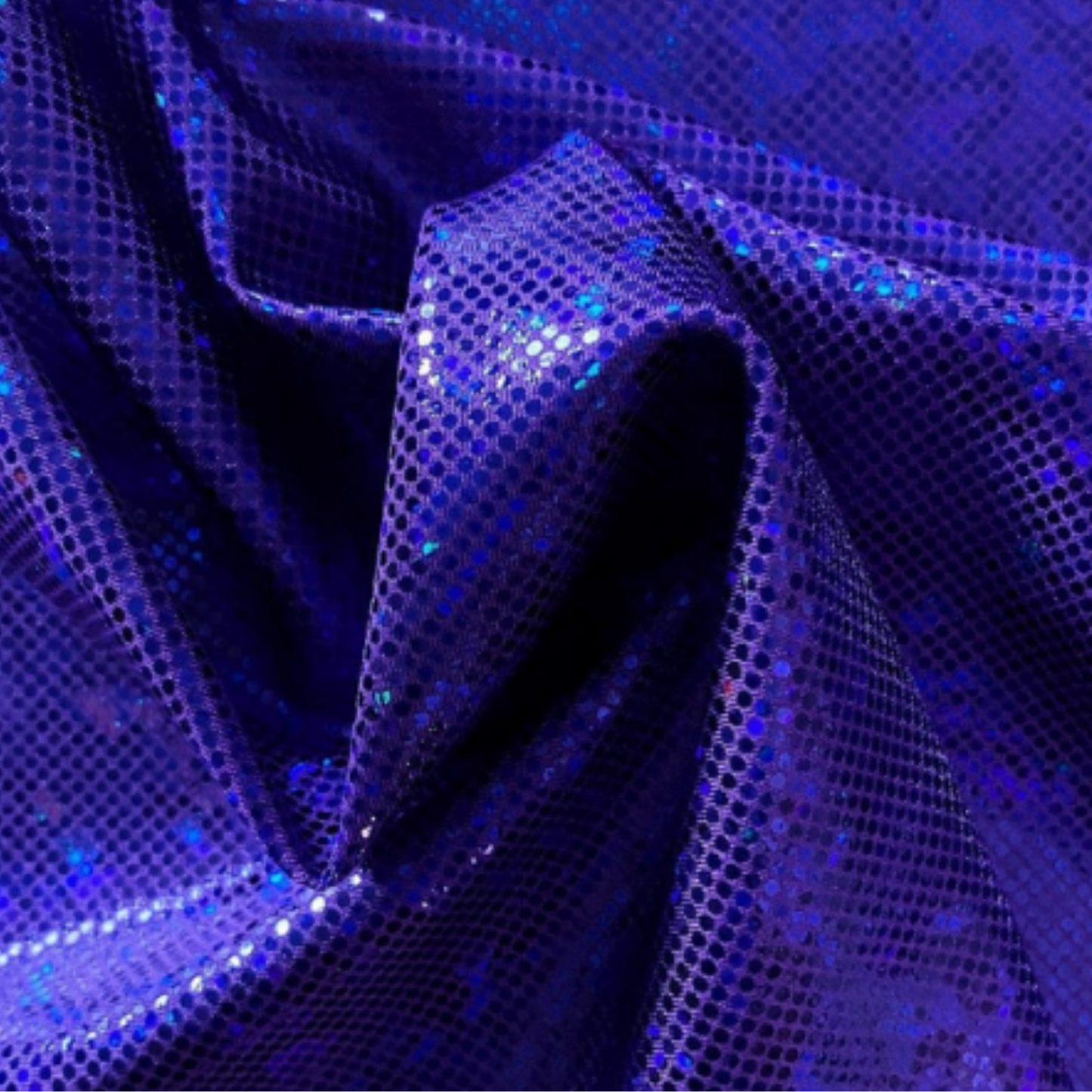 Holo Blurple
