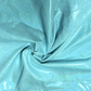 NPC/IFBB Fit Model- Mint Ice